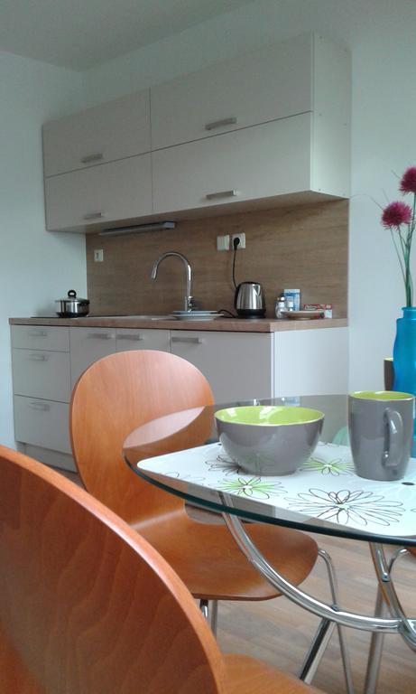Apartment オロモウツ エクステリア 写真